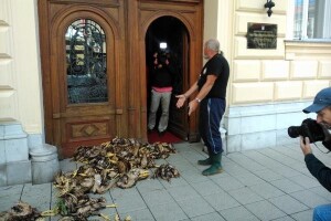 Uginule kokoši pred vratima institucija!