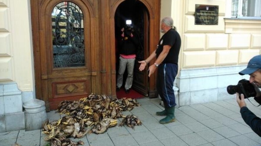 Uginule kokoši pred vratima institucija!