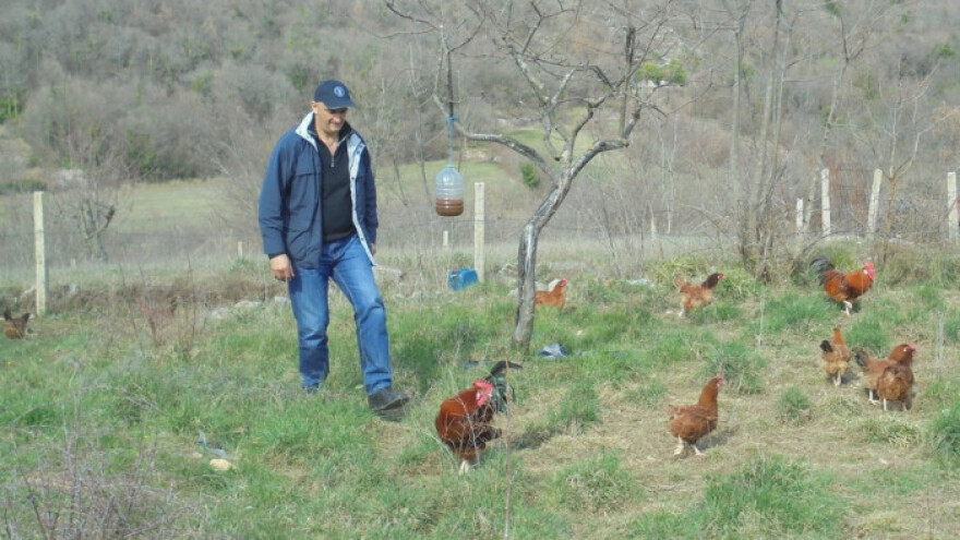 Pokrenuli promjene u pravilima uzgoja peradi