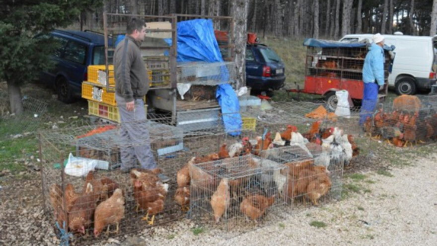 Obogaćivanje mesa i jaja omega 3 masnim kiselinama