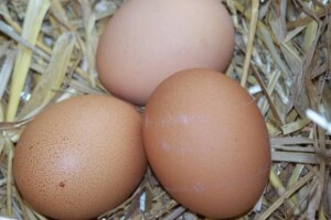 Europski propisi mijenjaju domaće navike u trgovanju