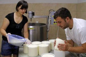 Ruralni razvoj ili kako da nam ne izdahne selo