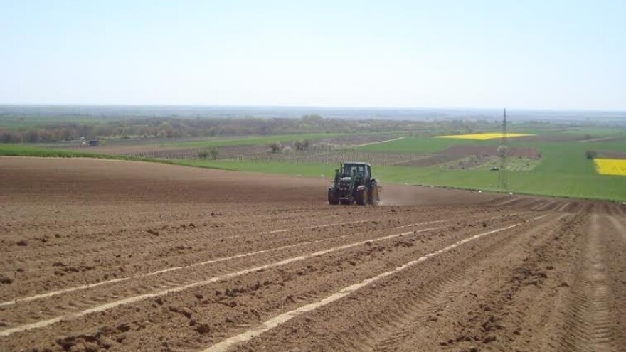 Kolarevi zasadili 14.000 novih trsova