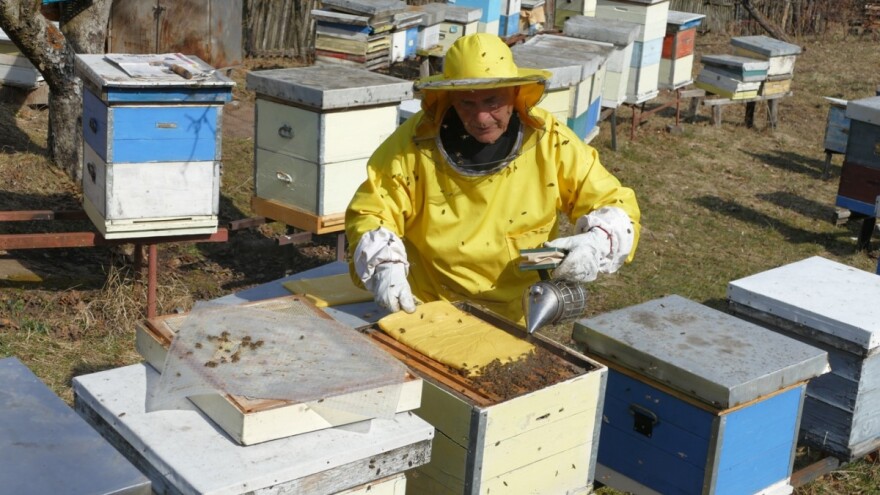 Trikovi za prihranu pčelinjih zajednica pogačama oplemenjenim polenom