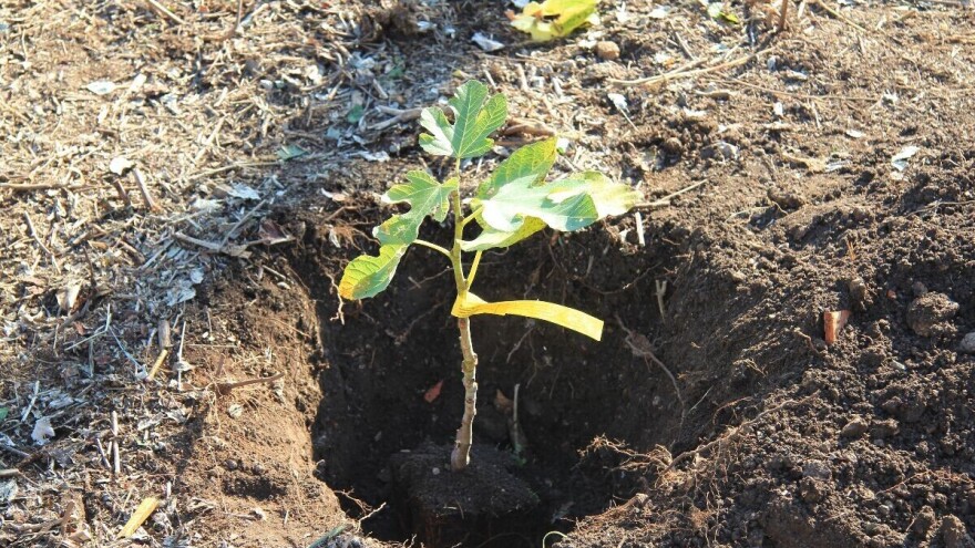 Ušli smo u Novu, sjećate li se što je obilježilo Staru?