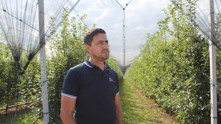 U kolijevci hrvatskog voćarstva ništa nije prepušteno slučaju