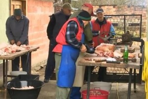 Sezona svinjokolje u punom jeku