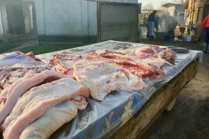 Salamurenje daje šansu za zarazu trihinelom: Koja je preventiva?