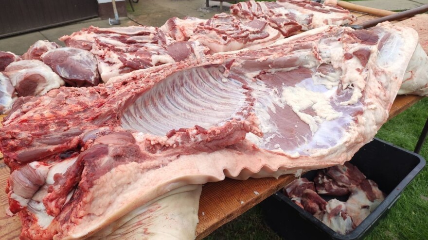 Kolinje za osobnu potrošnju: Propisi i obveze posjednika svinja