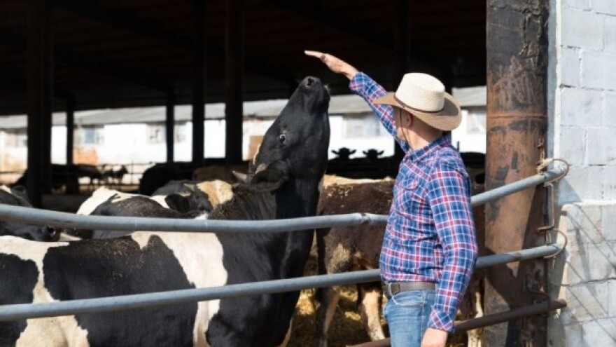 Smanjiti upotrebu antibiotika kolistina!