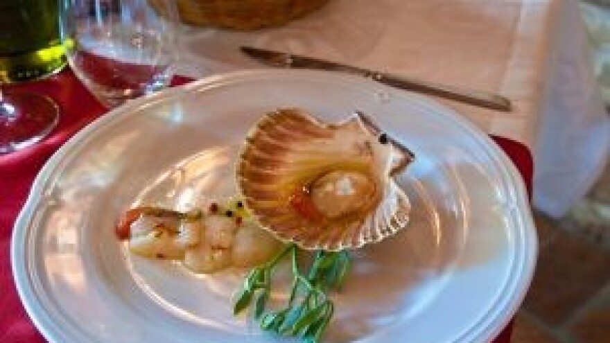 Dani školjaka u Istri