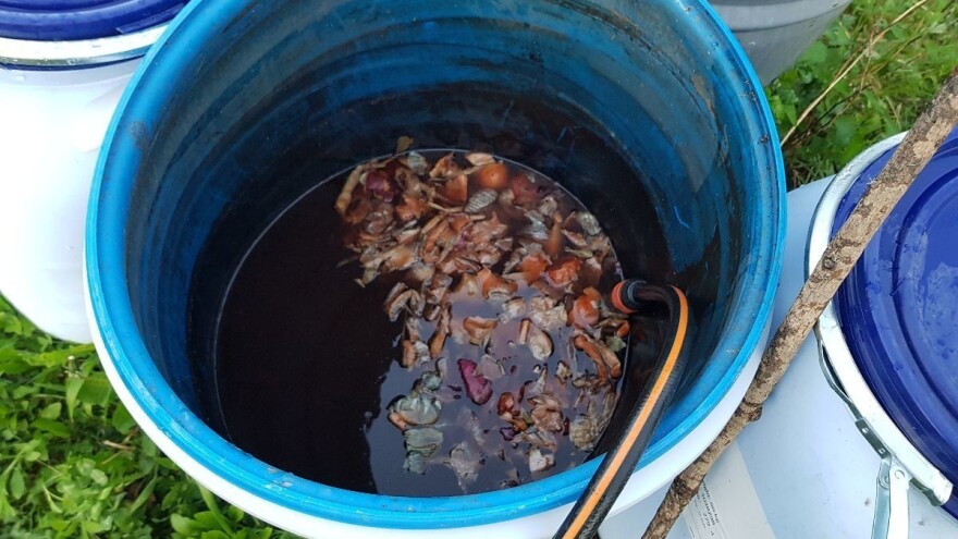 Tretirajte voće pre mirovanja prirodnim preparatima od koprive, sode i kreča