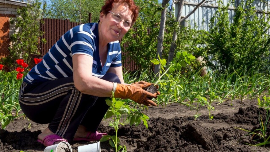 Bake su rasad sadile u čaše od jogurta, a danas? Recimo NE plastici
