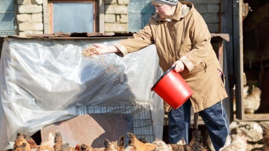 Poljoprivreda u srazu s GMO-om!