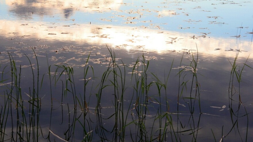 Ili si lud ili si iz Osijeka!