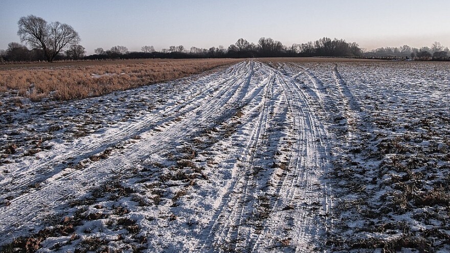 Završna faza komasacije u Kupusini