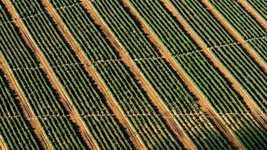 Komasacija je preduvjet retabilnosti proizvodnje!
