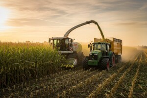 Kombajn Claas Jaguar 900/830