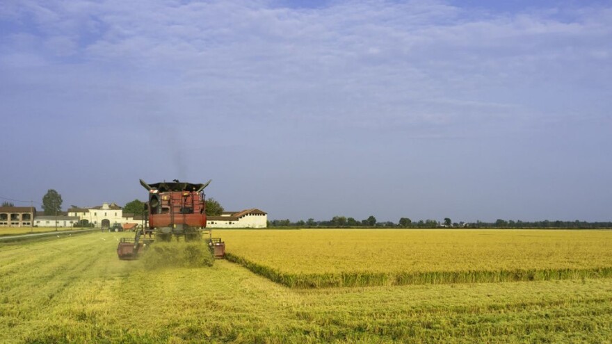 Italija uspjela prodati rižu Kinezima