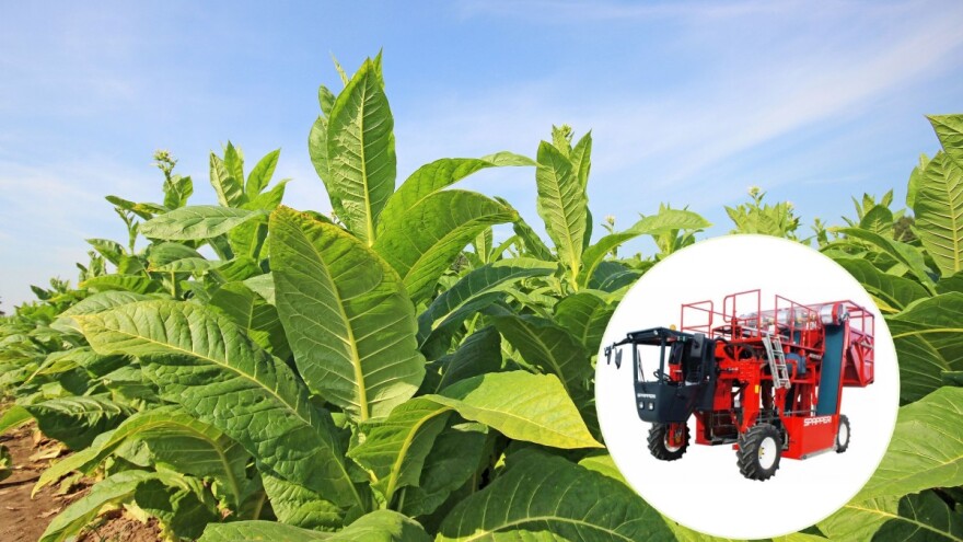 Odzvonilo ručnoj berbi? Po prvi puta u 60 godina u Hrvatskoj kupljen stroj za berbu duhana!