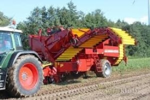 Za proizvodnju krumpira 526 tisuća kuna