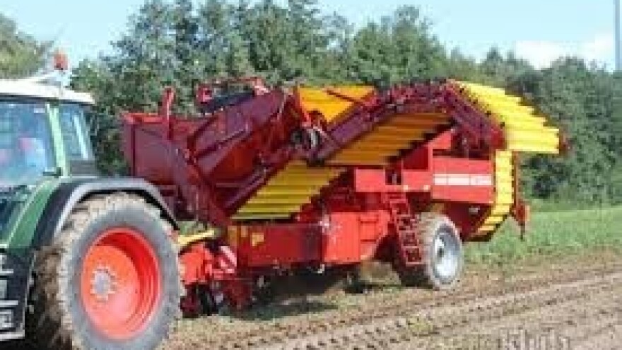 Za proizvodnju krumpira 526 tisuća kuna