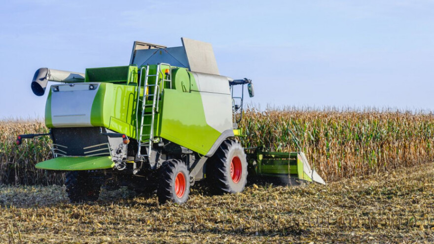 Smanjen prirod silažnog kukuruza, rast šećerne repe