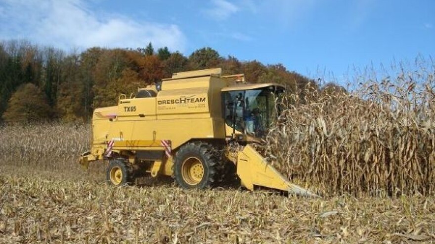 Brzo i efikasno razgradite kukuruzovinu!