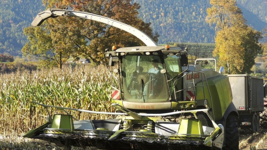 Očekuje se 60-70 t/ha silažnog kukuruza - analize će pokazati kakvog je kvaliteta