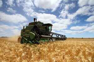 Ruske zalihe žitarica porasle za 18,7%