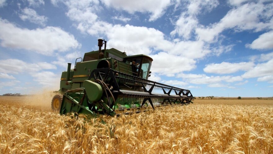 Ruske zalihe žitarica porasle za 18,7%