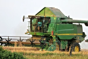 Porasla proizvodnja pšenice, kukuruz u padu!