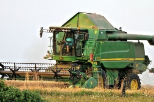 Porasla proizvodnja pšenice, kukuruz u padu!
