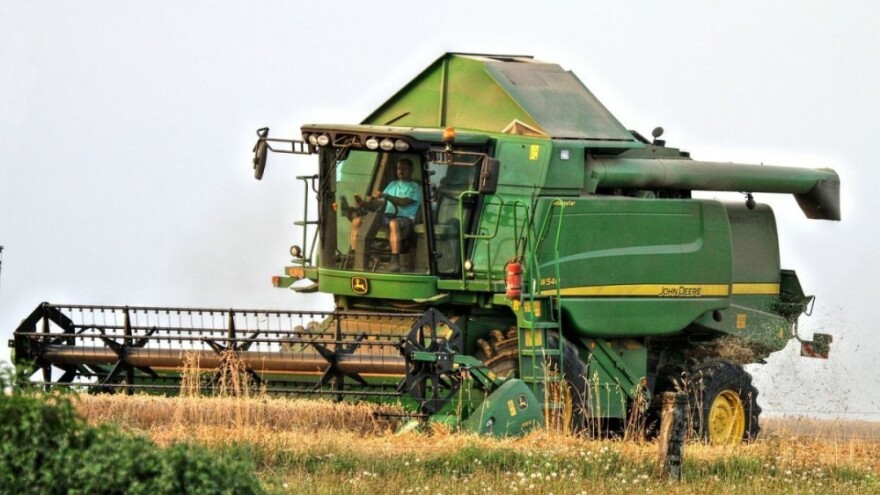 Porasla proizvodnja pšenice, kukuruz u padu!