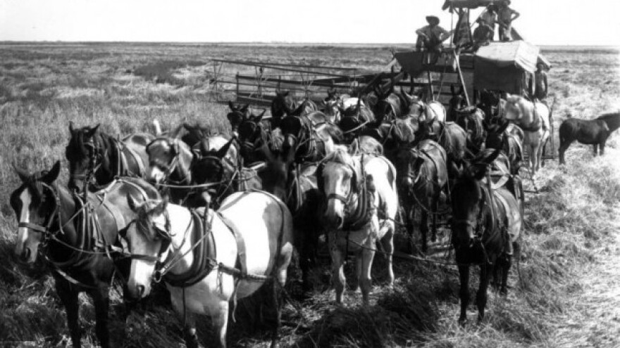 Kako se kombajniralo prije 77 godina?