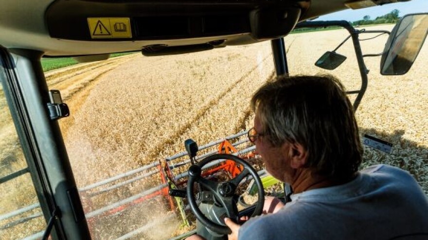 Što sijati - a ne izgubiti?