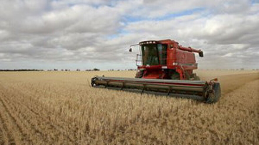 U potrazi za djelotvornom europskom poljoprivrednom politkom