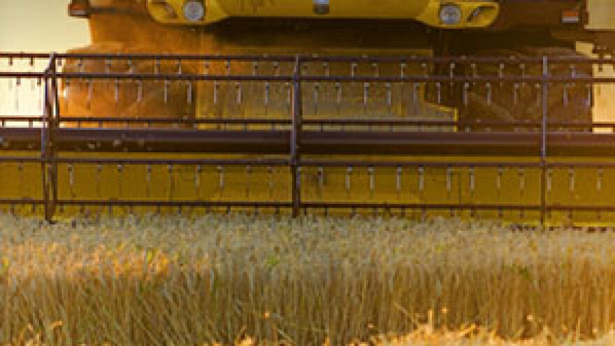 1,10 kn za kg pšenice - još jedna propala sezona?