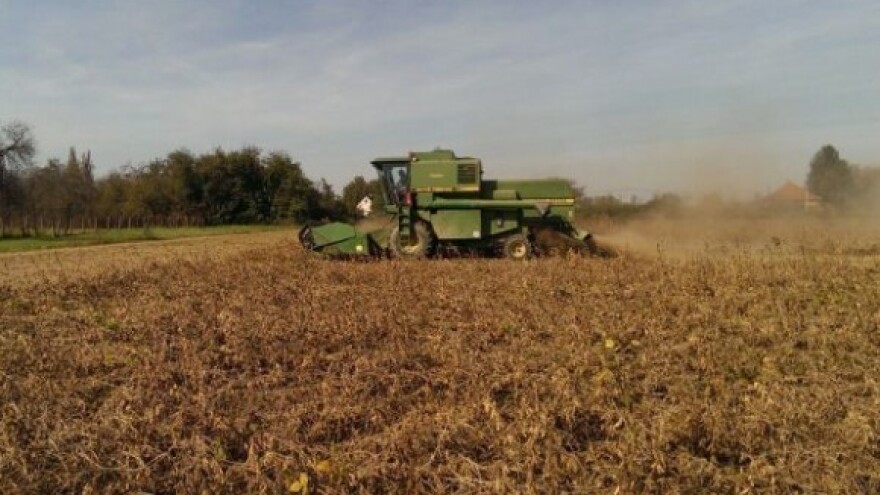 Dodjela zakupa u općini Satnica Đakovačka
