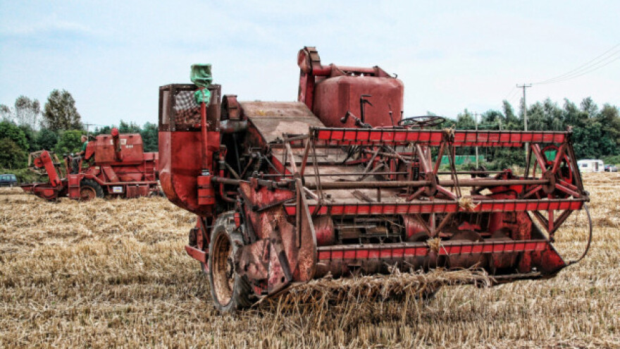 Crnomorske zemlje izvoze 30% svjetskog ječma