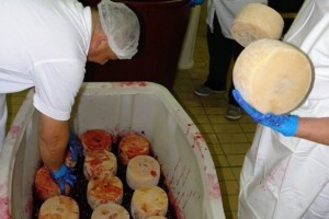 Paškom siru iz komine maraske World Cheese Awards