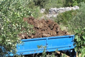 Ubrzavanje procesa kompostiranja komina