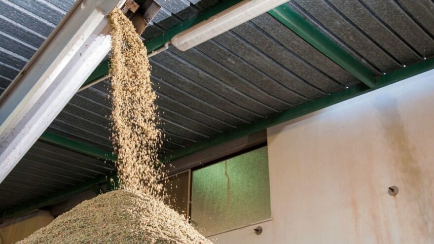 Ništa se ne baca: Komina kao biogorivo - dodatna zarada i kod manjih prinosa