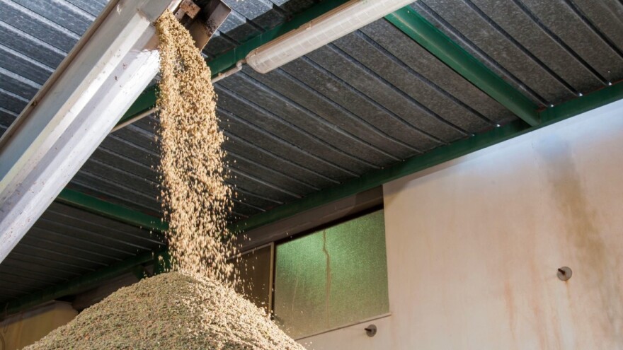 Ništa se ne baca: Komina kao biogorivo - dodatna zarada i kod manjih prinosa