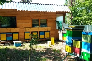 Api komora za prevenciju bolesti i oporavak posle korone