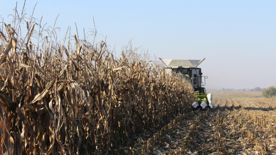 DZS prognoza: Cijene biljnih proizvoda ove godine više za gotovo 20 posto