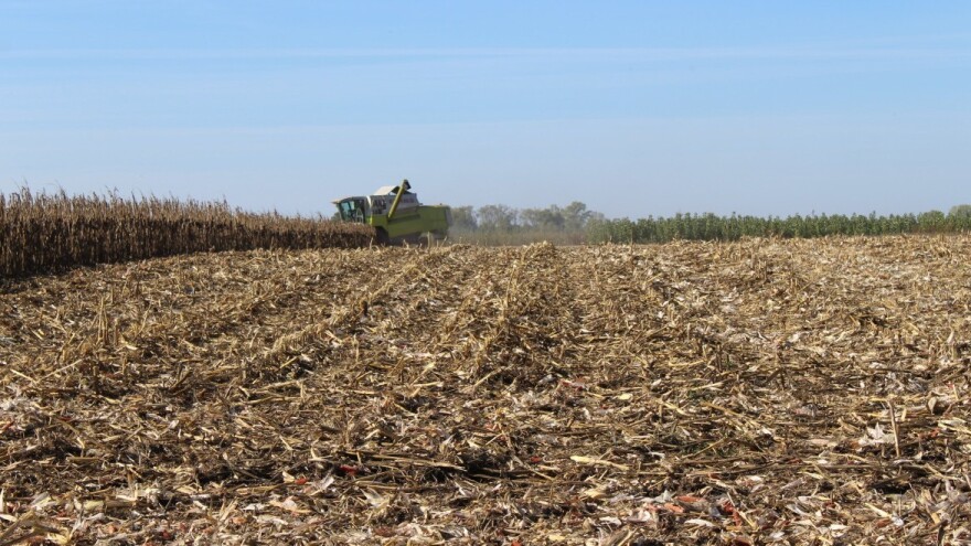 Što donosi Pravilnik o provođenju natječaja za prodaju državnog poljoprivrednog zemljišta?