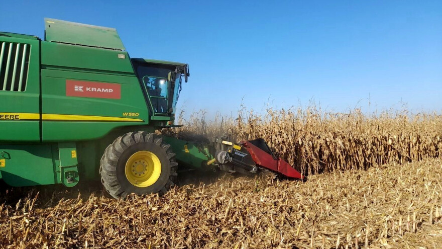 Održana javna žetva pokusa 37 hibrida kukuruza - prinosi od 10 do 13 t/ha
