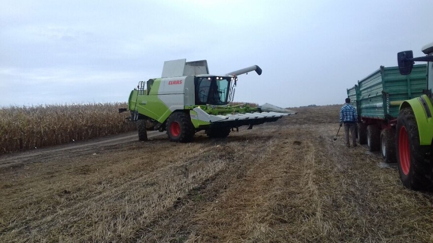 Završena berba komparativnih pokusa hibrida kukuruza na FAZOS pokušalištu