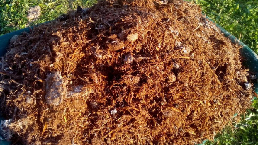 Pođubrite zemlju kompostom od gljiva